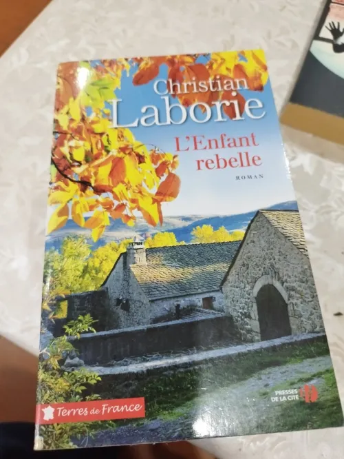Livres romans 