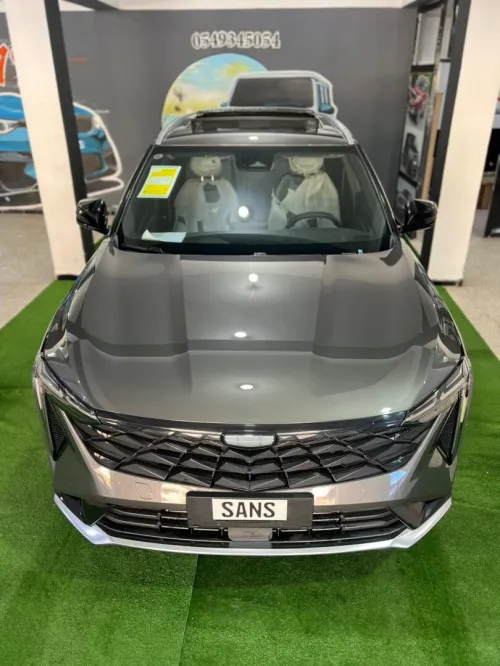 Geely Starray 2025 Foll Option