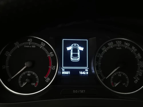 Skoda Rapid 2019 Edition 7