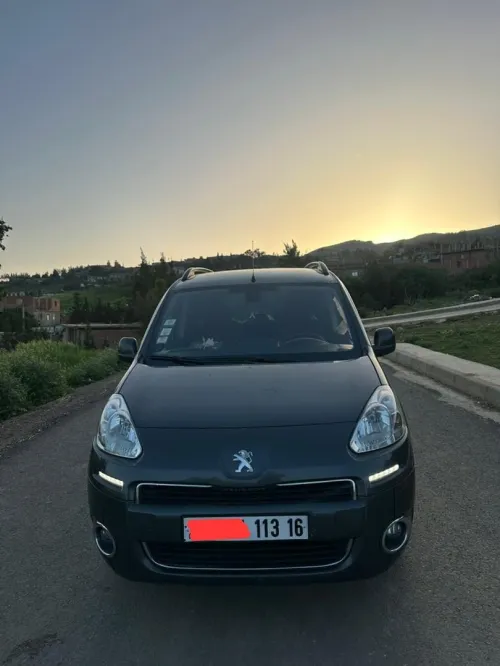 Peugeot Partner 2013 Tepee