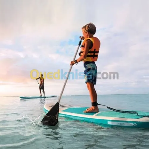 Paddle Aqua Quest 320