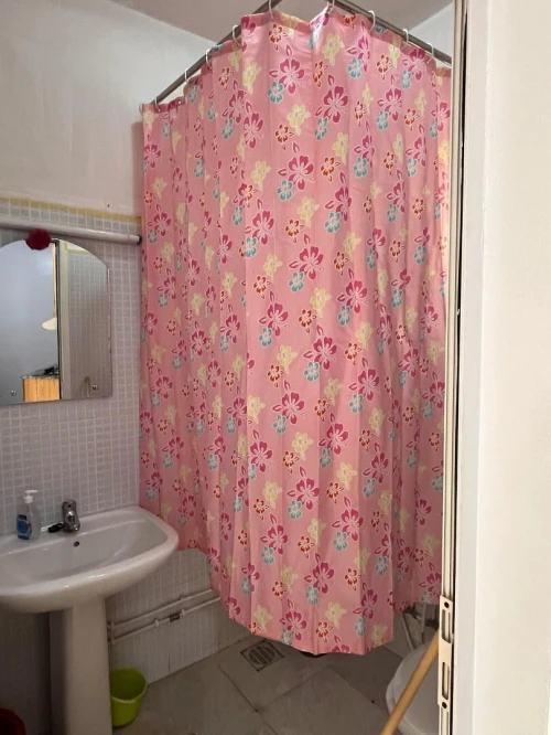 Location Appartement Tlemcen Tlemcen