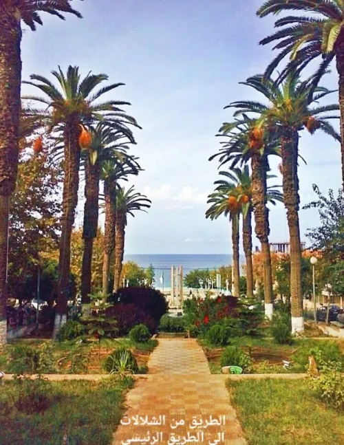Location vacances Appartement Niveau de villa F3 Tipaza Ain tagourait
