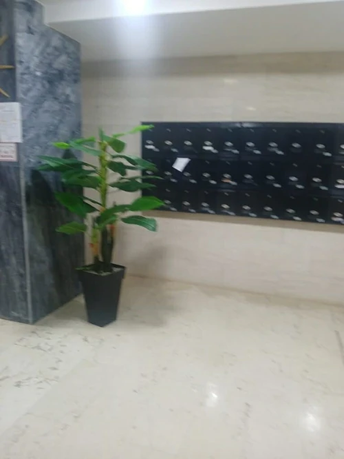 Location Appartement F3 Oran Bir el djir