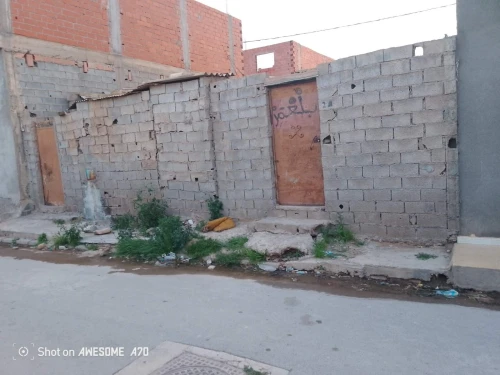 Vente Terrain Tlemcen Hammam boughrara
