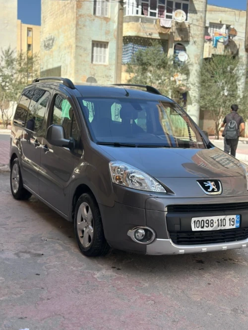 Peugeot Partner 2010 Tepee