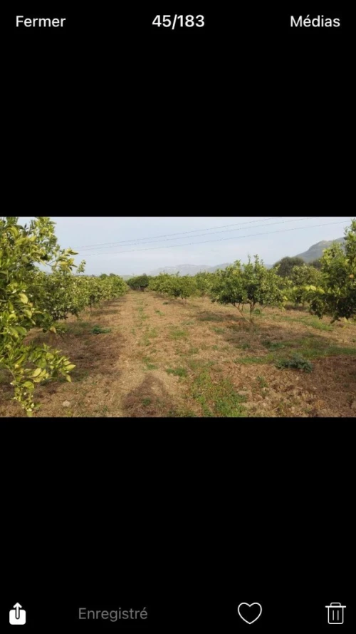 Vente Terrain Tizi Ouzou Sidi naamane
