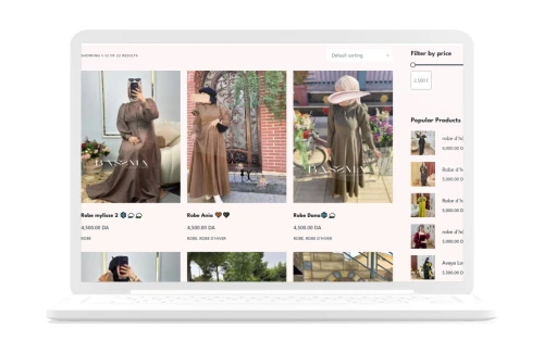 Boutiques E-commerce professionnelles