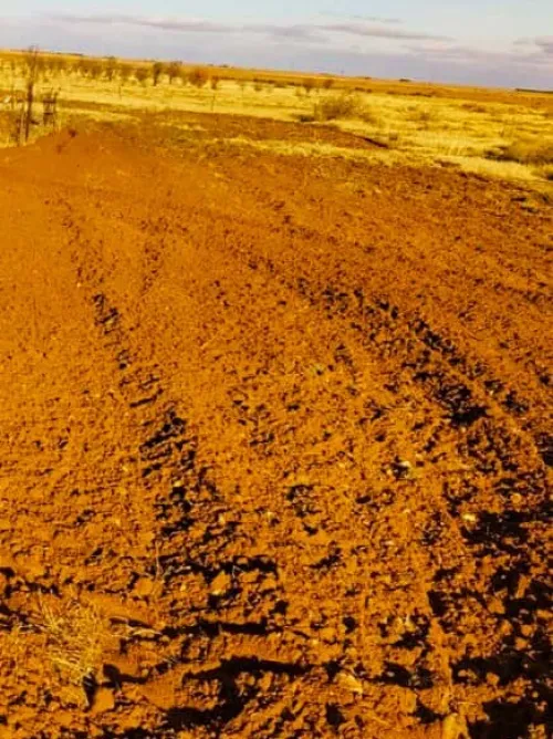 Vente Terrain Agricole Naâma Mecheria