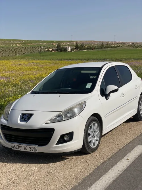 Peugeot 207 2012 1.4 sampel