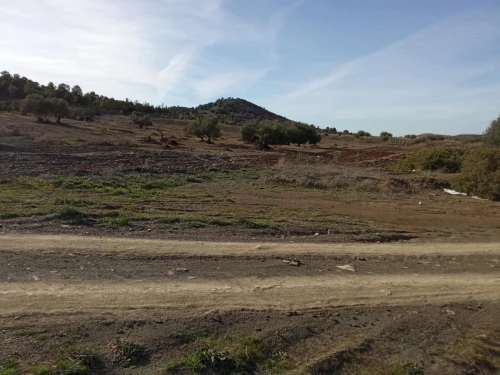 Vente Terrain Agricole Bouira Ahl el ksar