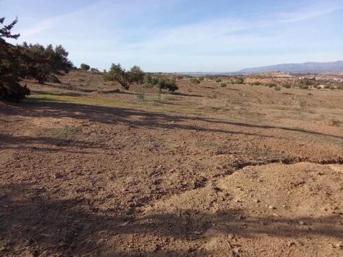 Vente Terrain Agricole Bouira Ahl el ksar