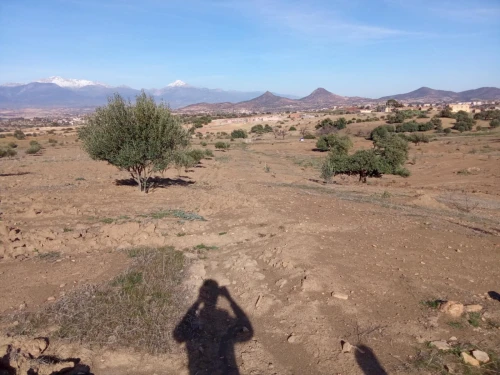 Vente Terrain Agricole Bouira Ahl el ksar