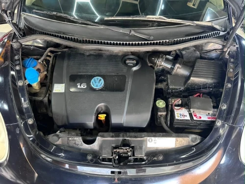 Volkswagen New Beetle 2011 New Beetle