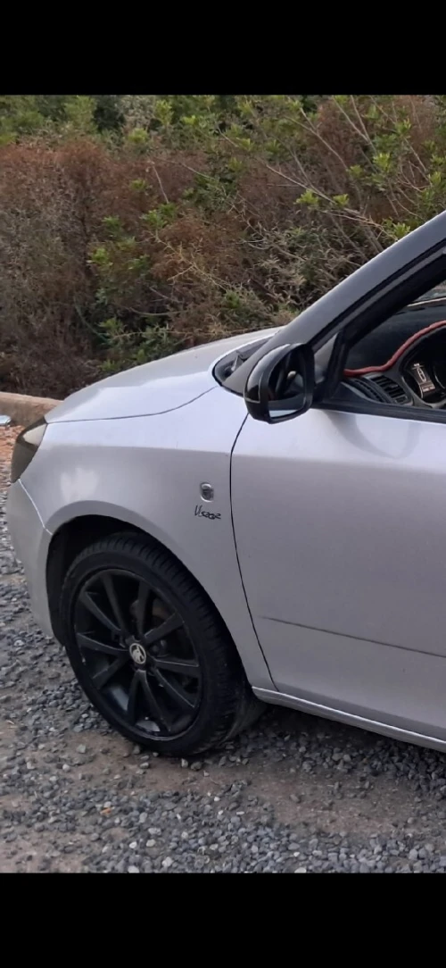 Skoda Fabia 2014 Visage