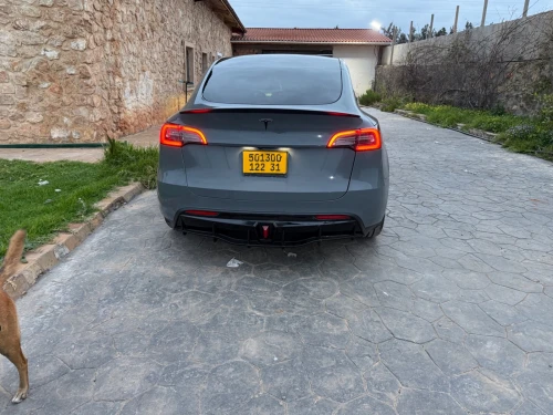 Tesla Y 2022 