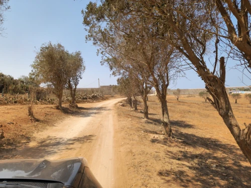 Vente Terrain Agricole Aïn Témouchent Beni saf