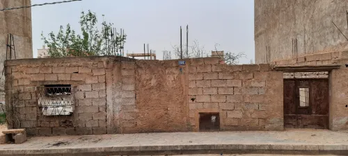 Vente Terrain Mostaganem Mesra