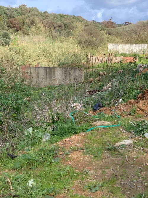 Vente Terrain Alger Cheraga