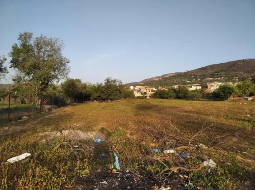 Vente Terrain Tlemcen Tlemcen