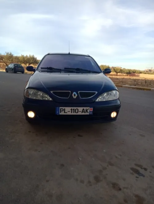 Renault Megane 1 2002 Authentique