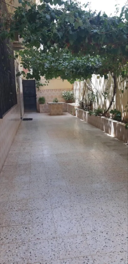 Vente Villa Aïn Defla Djendel