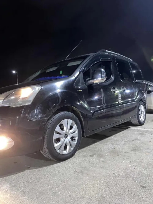Citroen Berlingo 2008 Berlingo