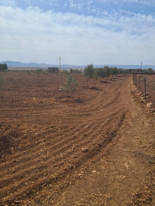 Vente Terrain Agricole Tlemcen Bensekrane