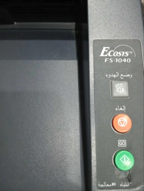 شلف