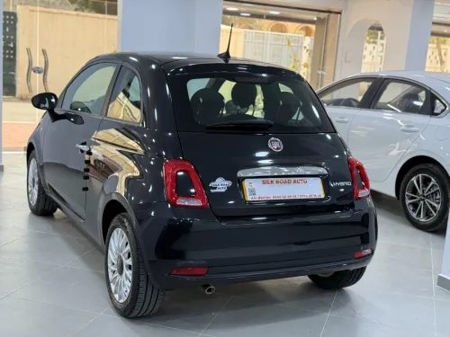 Fiat 500 2024 cult