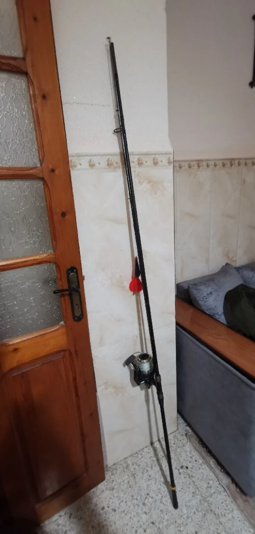 Canne à pêche +moulinet 