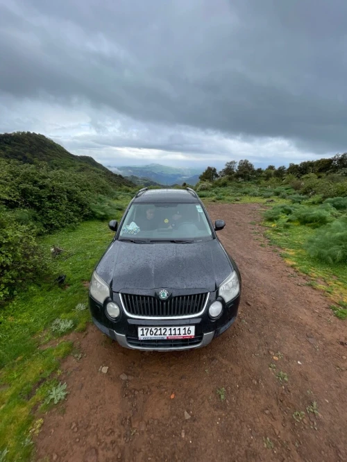 Skoda Yeti 2011 Elegance