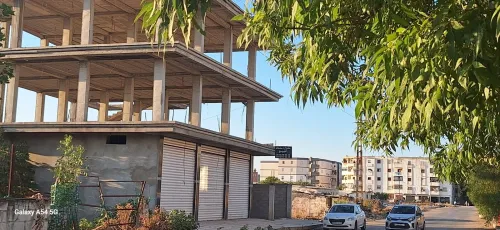 Vente Villa El Tarf Ain el assel