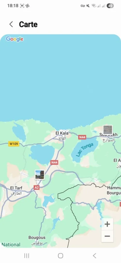 Vente Villa El Tarf Ain el assel