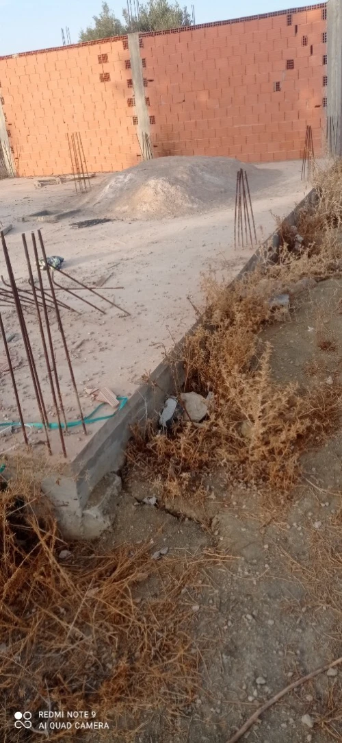 Vente Terrain Tlemcen Chetouane