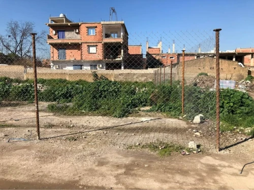 Vente Terrain Blida Blida