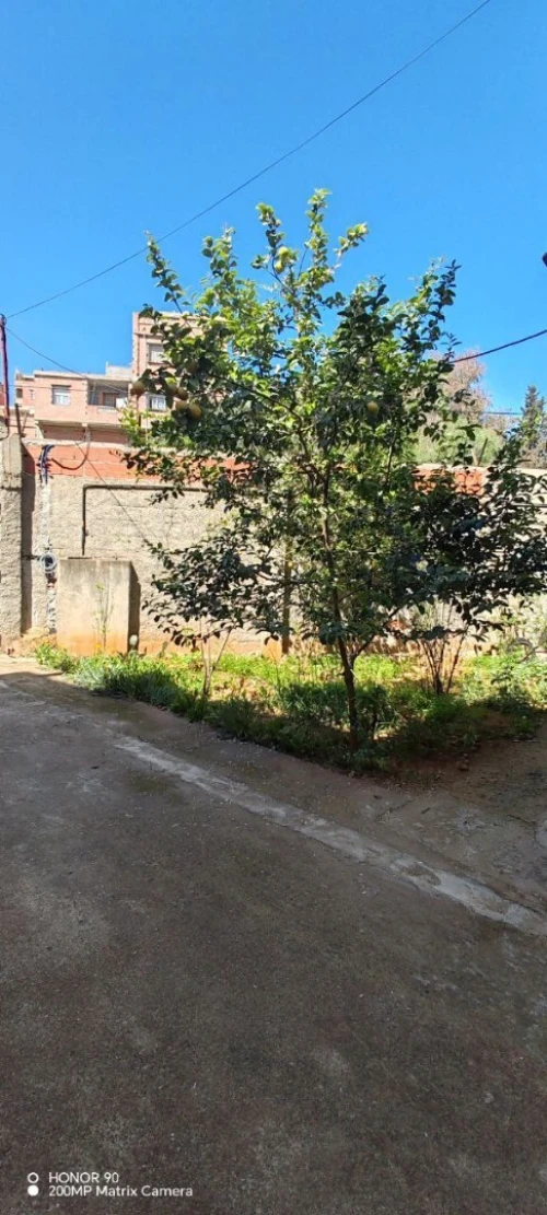 Vente Villa Alger Gue de constantine