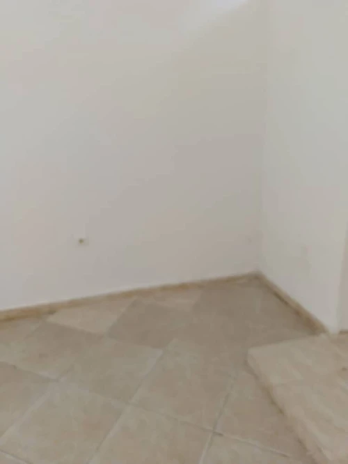Vente Local Sidi Bel Abbès Sidi bel abbes