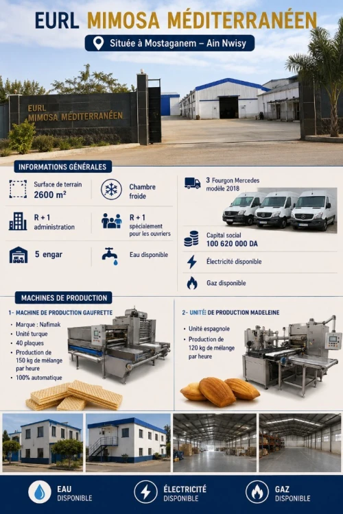 Vente Hangar - Usine Mostaganem Ain nouissi