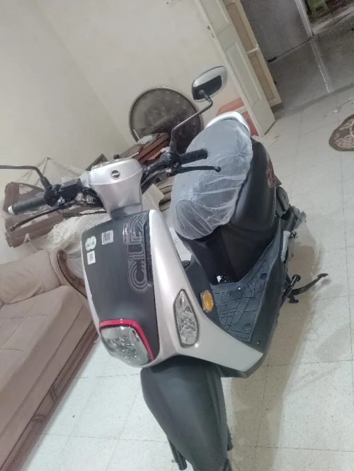 vms coxi Vms 2025