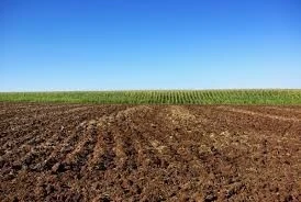 Vente Terrain Agricole Mila Chelghoum laid
