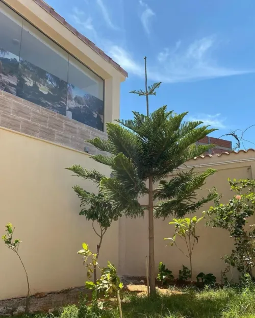 Location Villa Tipaza Tipaza
