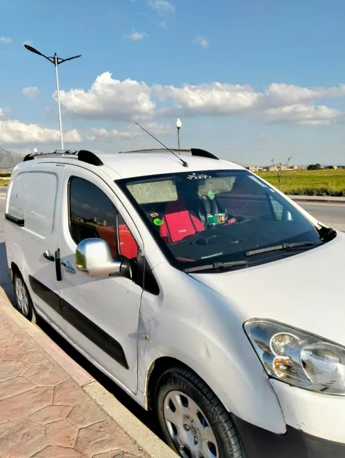 Peugeot Partner 2011 B9