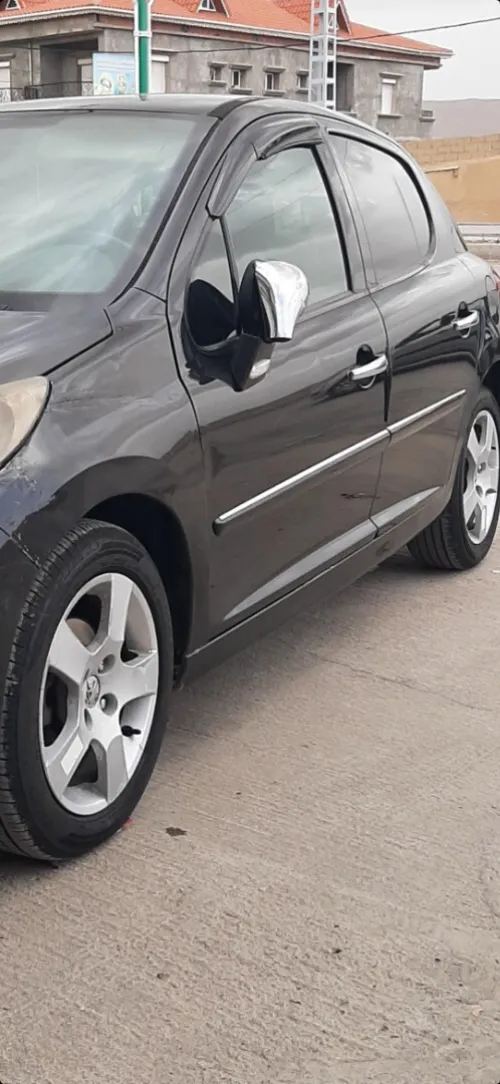 Peugeot 207 2009 Trendy