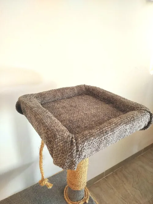 Arbres à Chat : Solides, Élégants et Confortables 