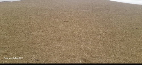 Vente Terrain Agricole Tissemsilt Sidi abed