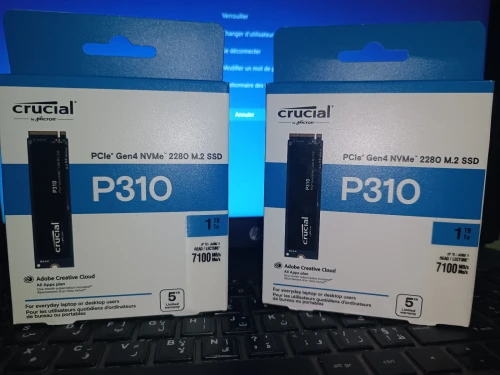 CRUCIAL P310 GEN 4 1 TB