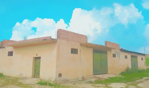 Vente Hangar - Usine Médéa Ksar boukhari
