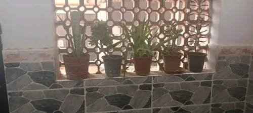 Vente Villa Mostaganem Hassi maameche