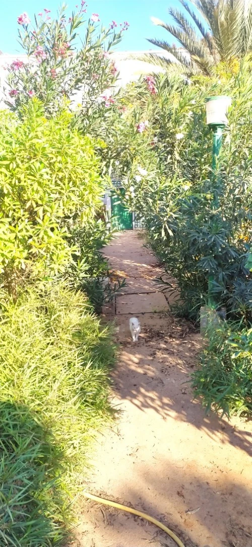 Vente Villa Tlemcen Ghazaouet